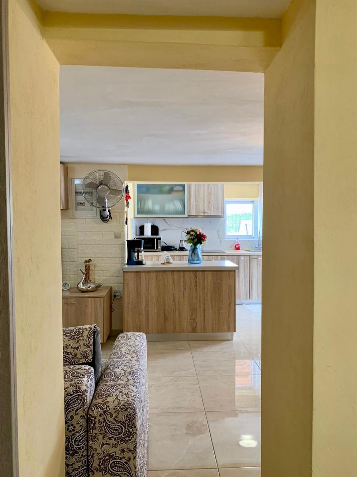 Sofia'S Seaview Villa Near Airport And Beach Ártemida Kültér fotó