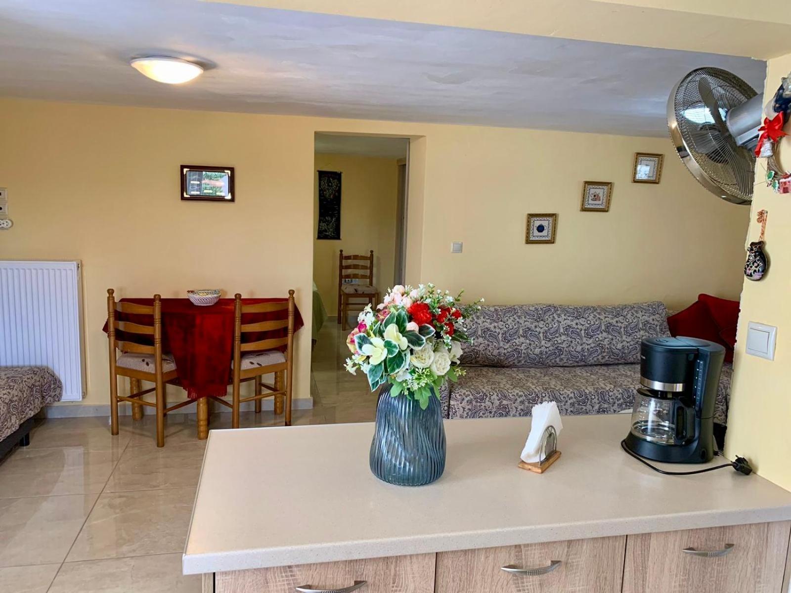 Sofia'S Seaview Villa Near Airport And Beach Ártemida Kültér fotó