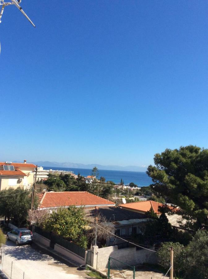 Sofia'S Seaview Villa Near Airport And Beach Ártemida Kültér fotó