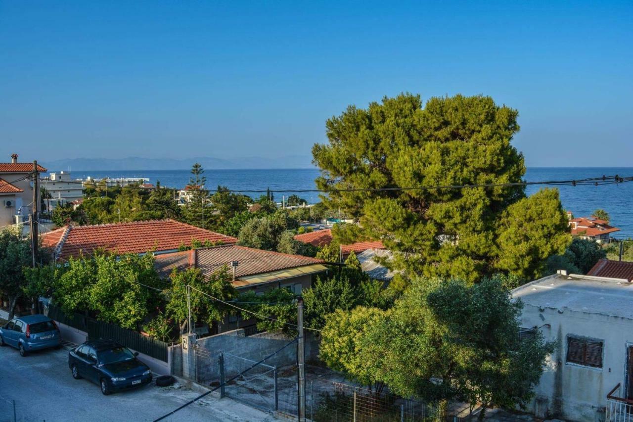 Sofia'S Seaview Villa Near Airport And Beach Ártemida Kültér fotó